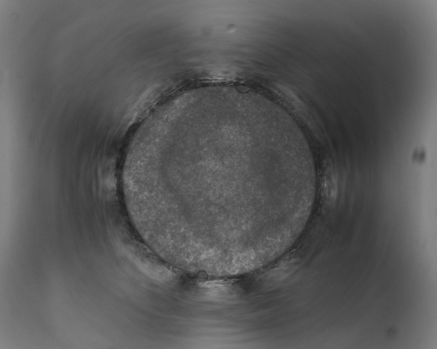 X0000111140516200907211142