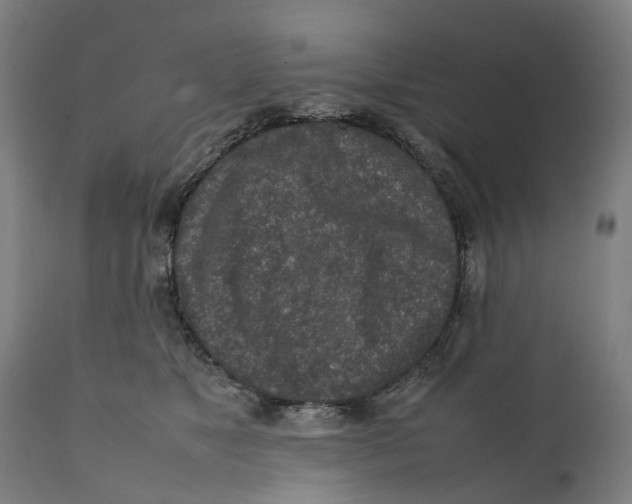 X0000111140517200907211142