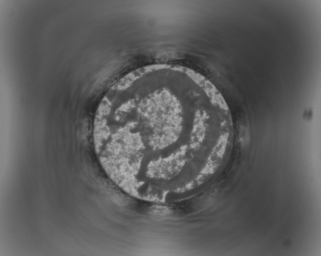 X0000111140519200907211142