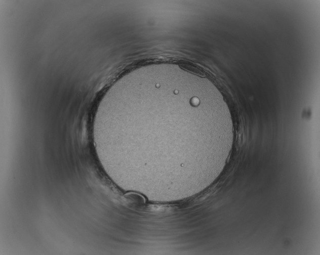 X0000111140520200907211142