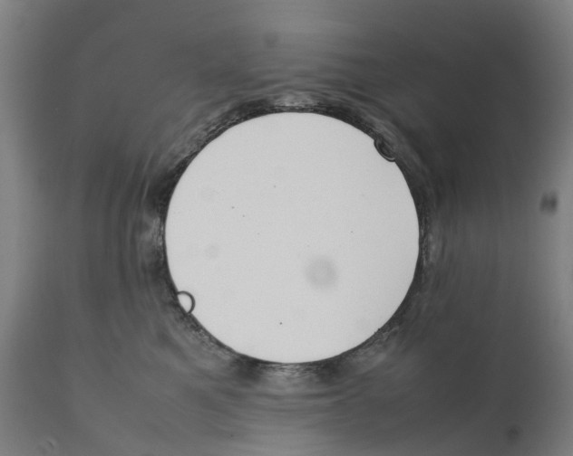 X0000111140521200907211142