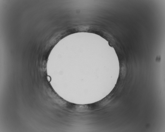 X0000111140525200907211142