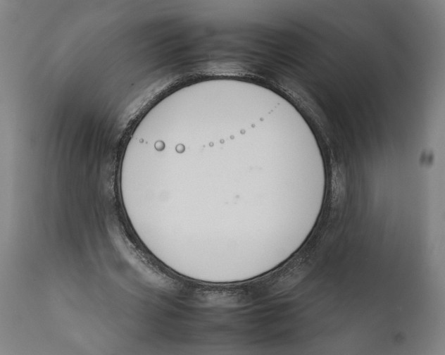 X0000111140533200907211141