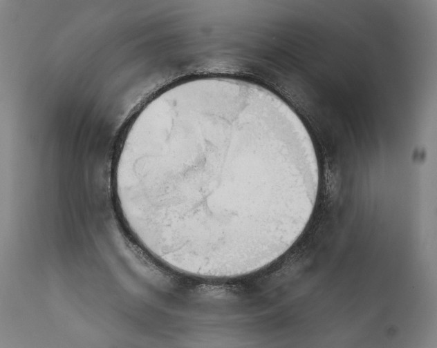 X0000111140534200907211141