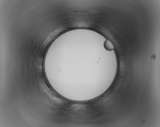 X0000111140537200907211141