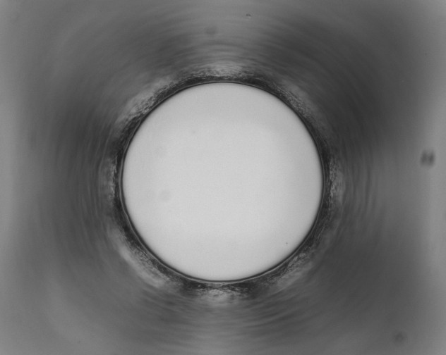 X0000111140542200907211141