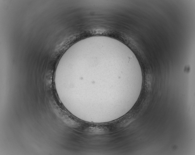 X0000111140545200907211141