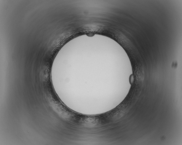 X0000111140546200907211141