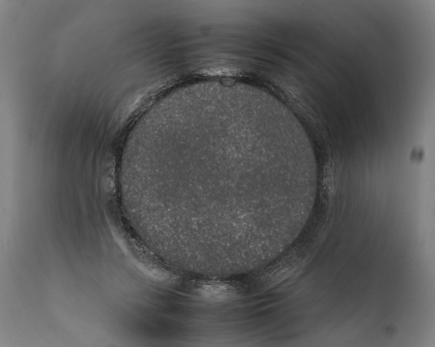 X0000111140547200907211141