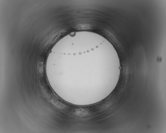 X0000111140549200907211141