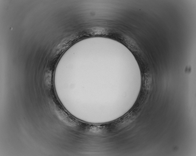 X0000111140550200907211141