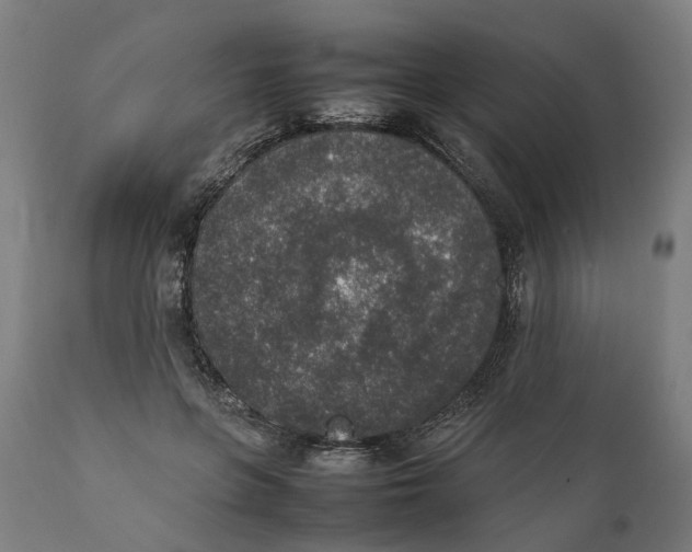 X0000111140551200907211141