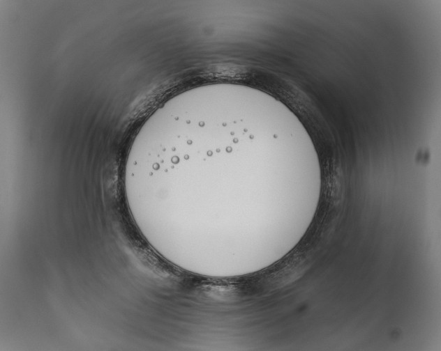 X0000111140552200907211141