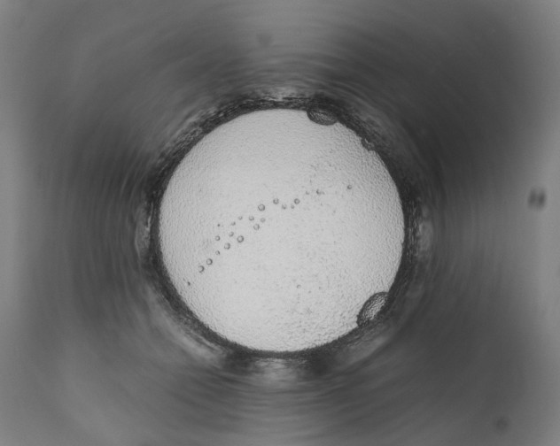 X0000111140558200907211141