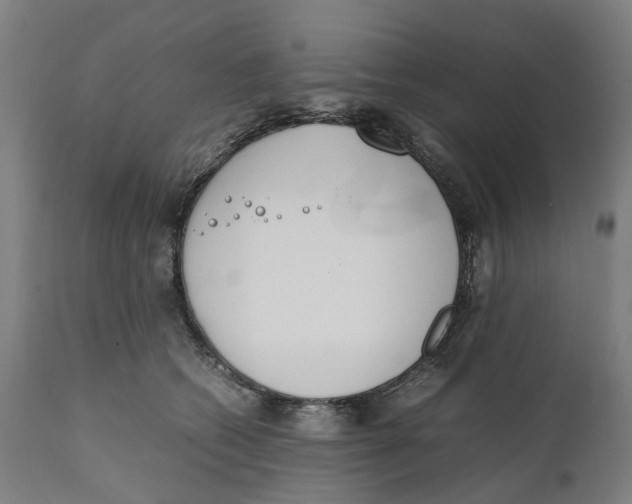 X0000111140562200907211141