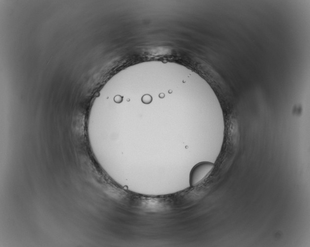 X0000111140565200907211141