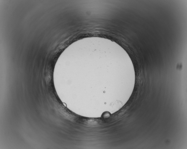 X0000111140566200907211141