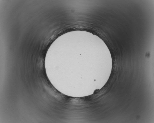 X0000111140568200907211141