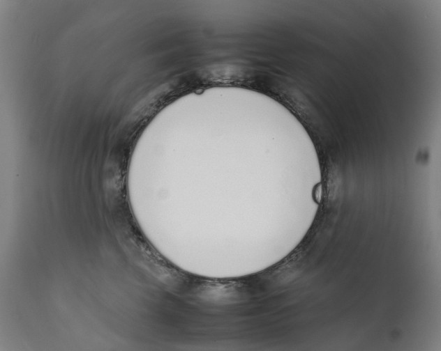 X0000111140569200907211141