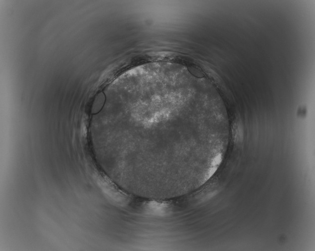 X0000111140570200907211141