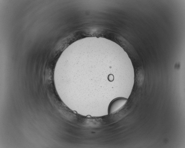 X0000111140571200907211141