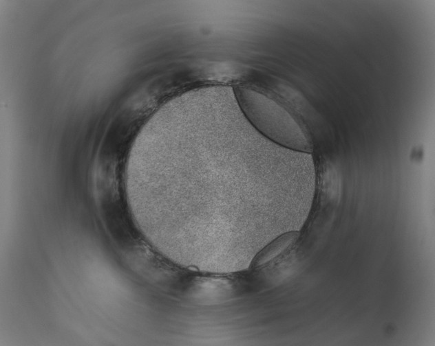 X0000111140572200907211141