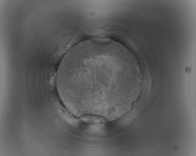 X0000111140576200907211141