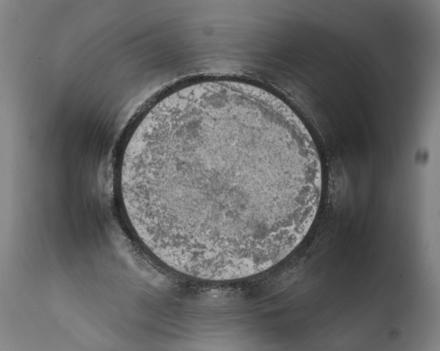 X0000111140584200907211141