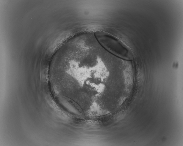 X0000111140585200907211141