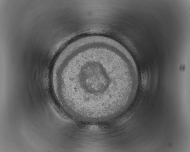 X0000111140588200907211141