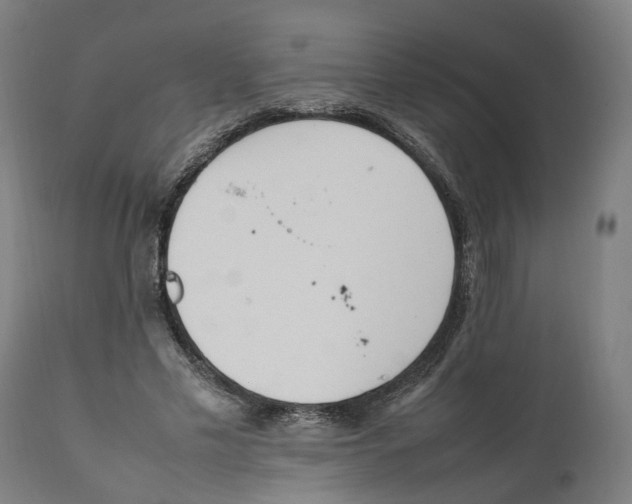 X0000111140589200907211141