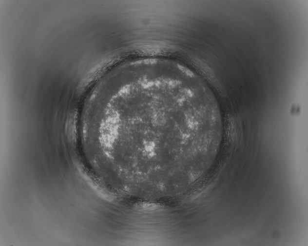 X0000111140590200907211141