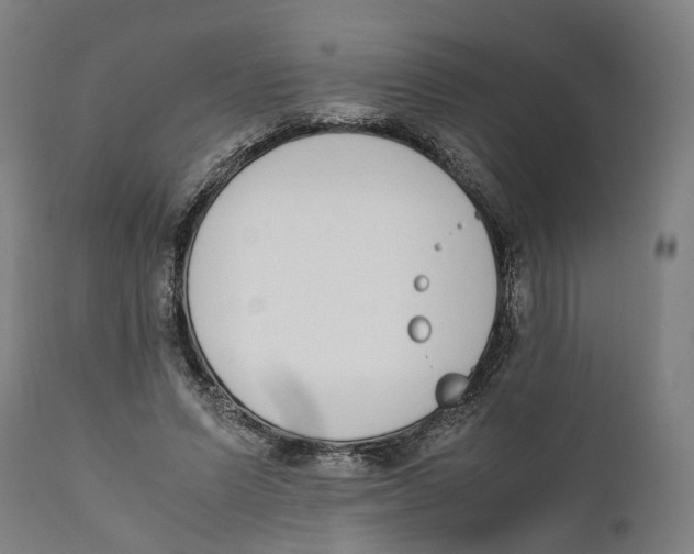 X0000111140591200907211141