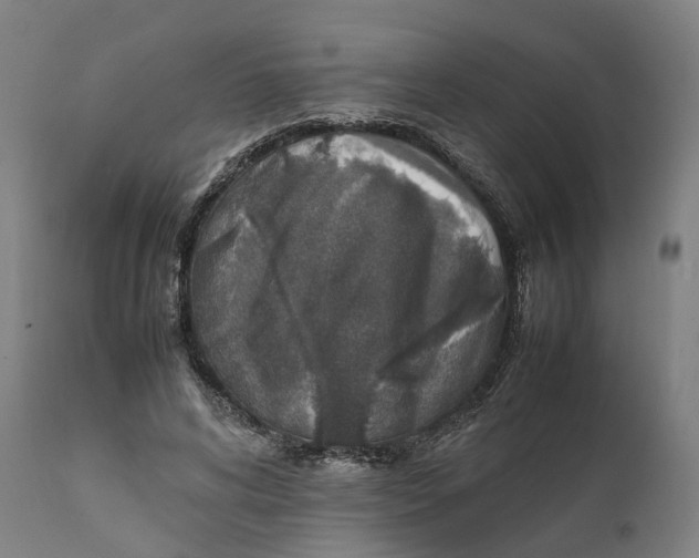 X0000111140592200907211141