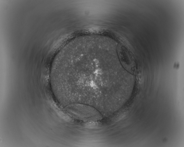 X0000111140593200907211141