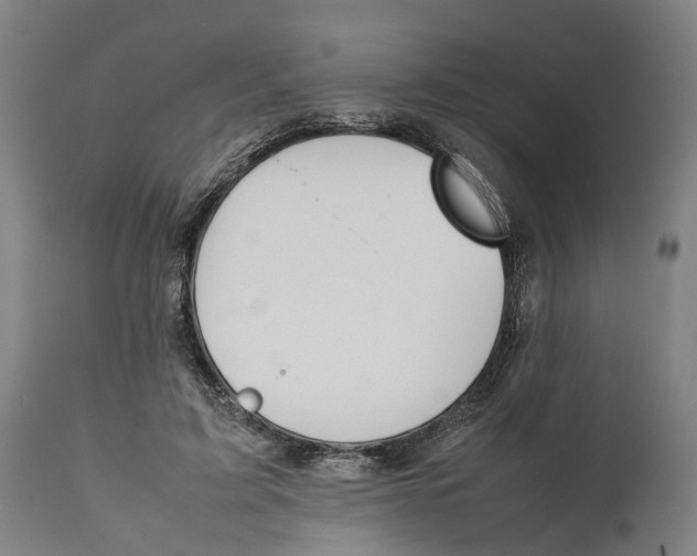 X0000111140595200907211141