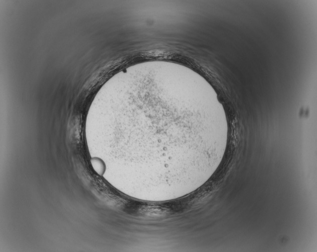 X0000111140597200907211141