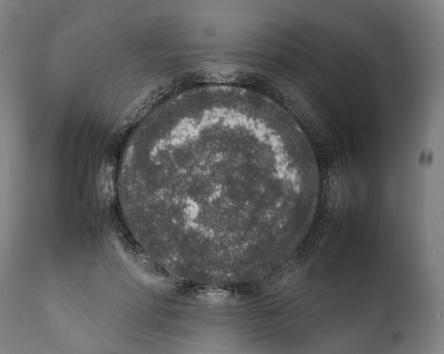 X0000111140598200907211141