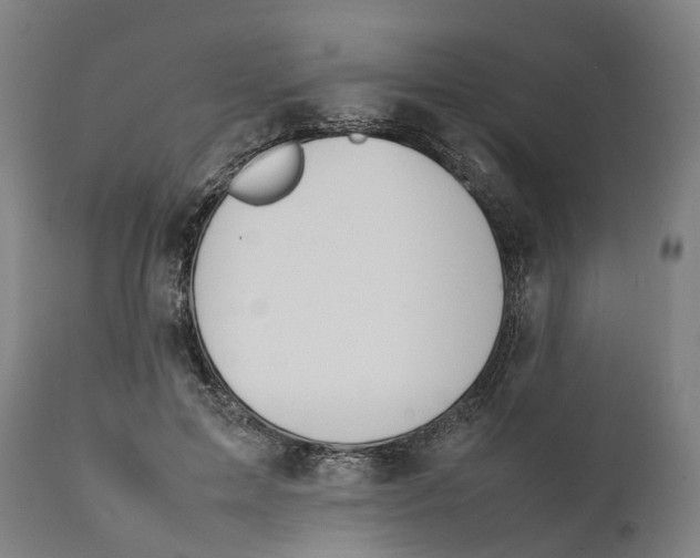 X0000111140599200907211141