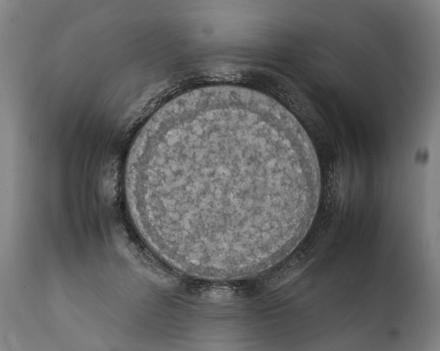 X0000111140600200907211141