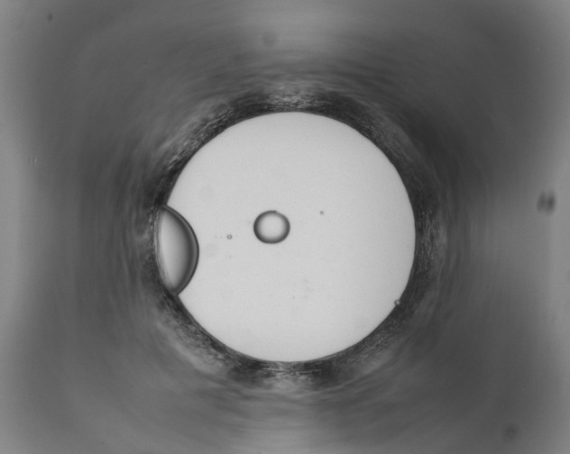 X0000111140601200907211140