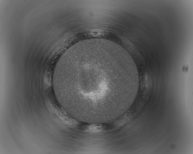 X0000111140606200907211140