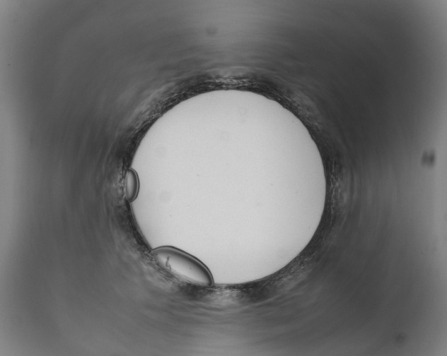 X0000111140609200907211140