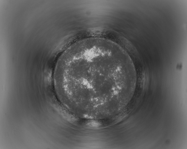 X0000111140610200907211140