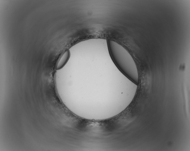 X0000111140611200907211140