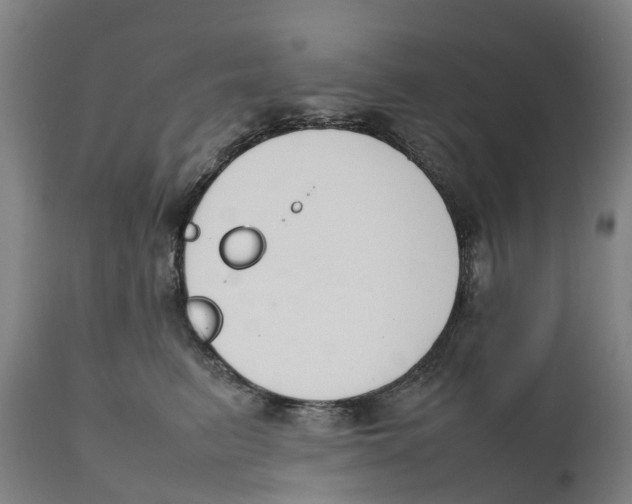 X0000111140615200907211140