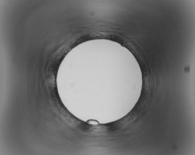 X0000111140617200907211140