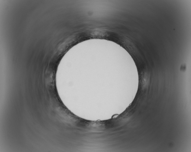 X0000111140619200907211140