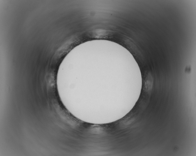 X0000111140620200907211140