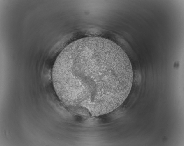 X0000111140621200907211140